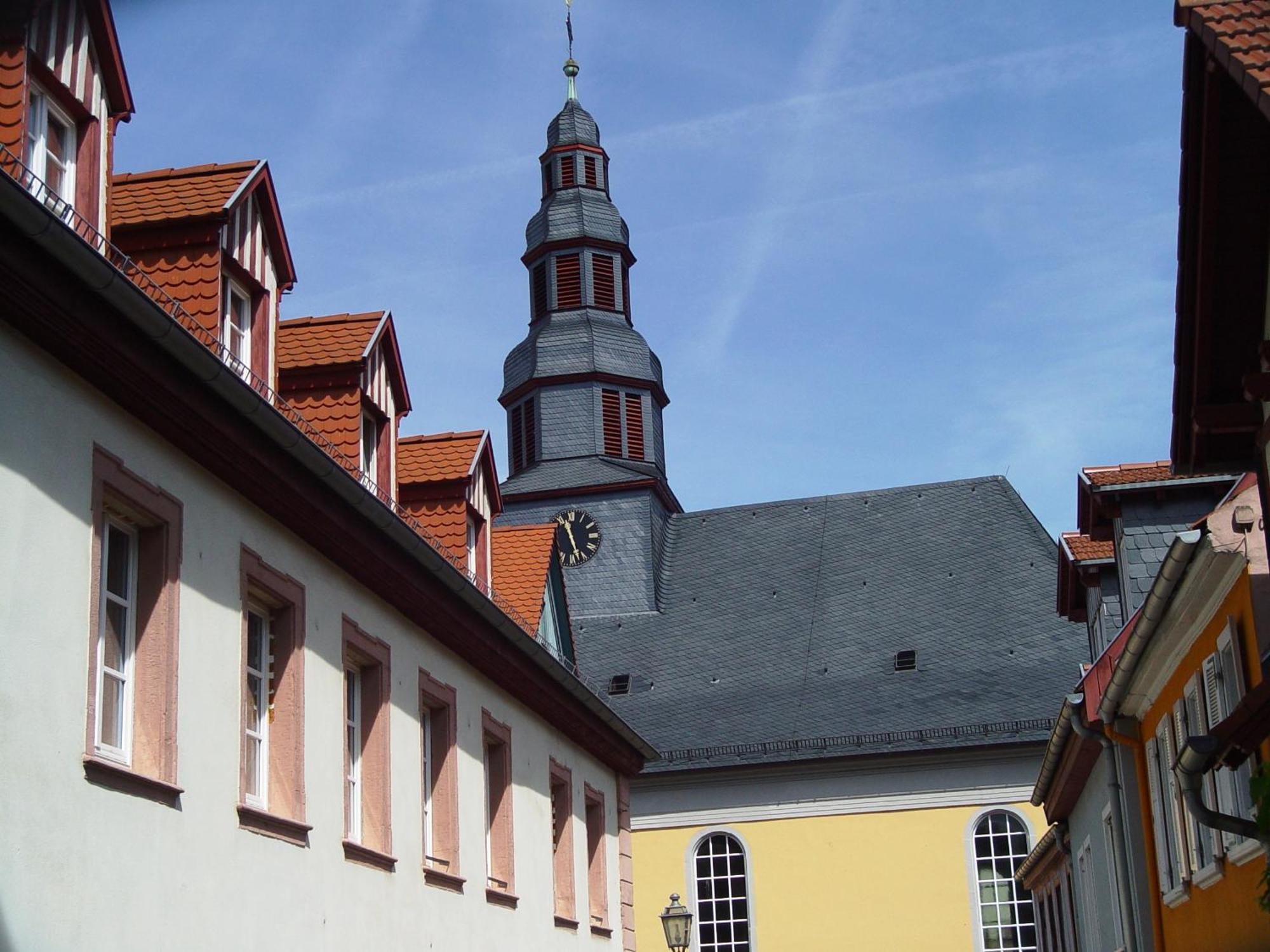 2 Zimmer Wohnung, Kueche, Bad, Balkon, Netflix Alzey Exterior photo